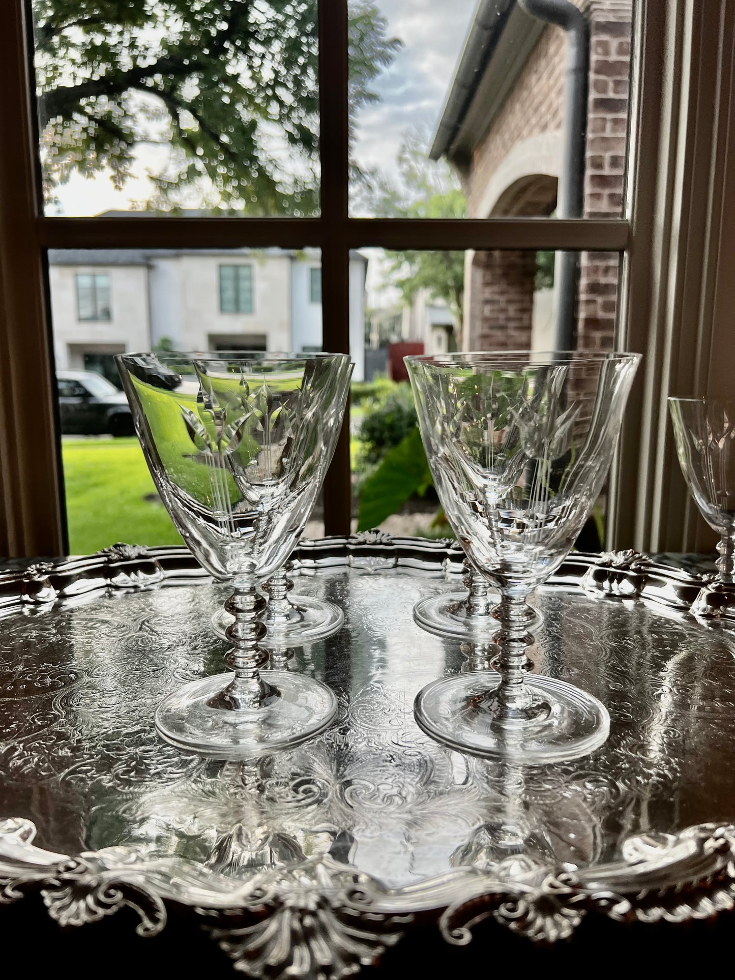 Kusak Tulip Wine Glasses Set of 5