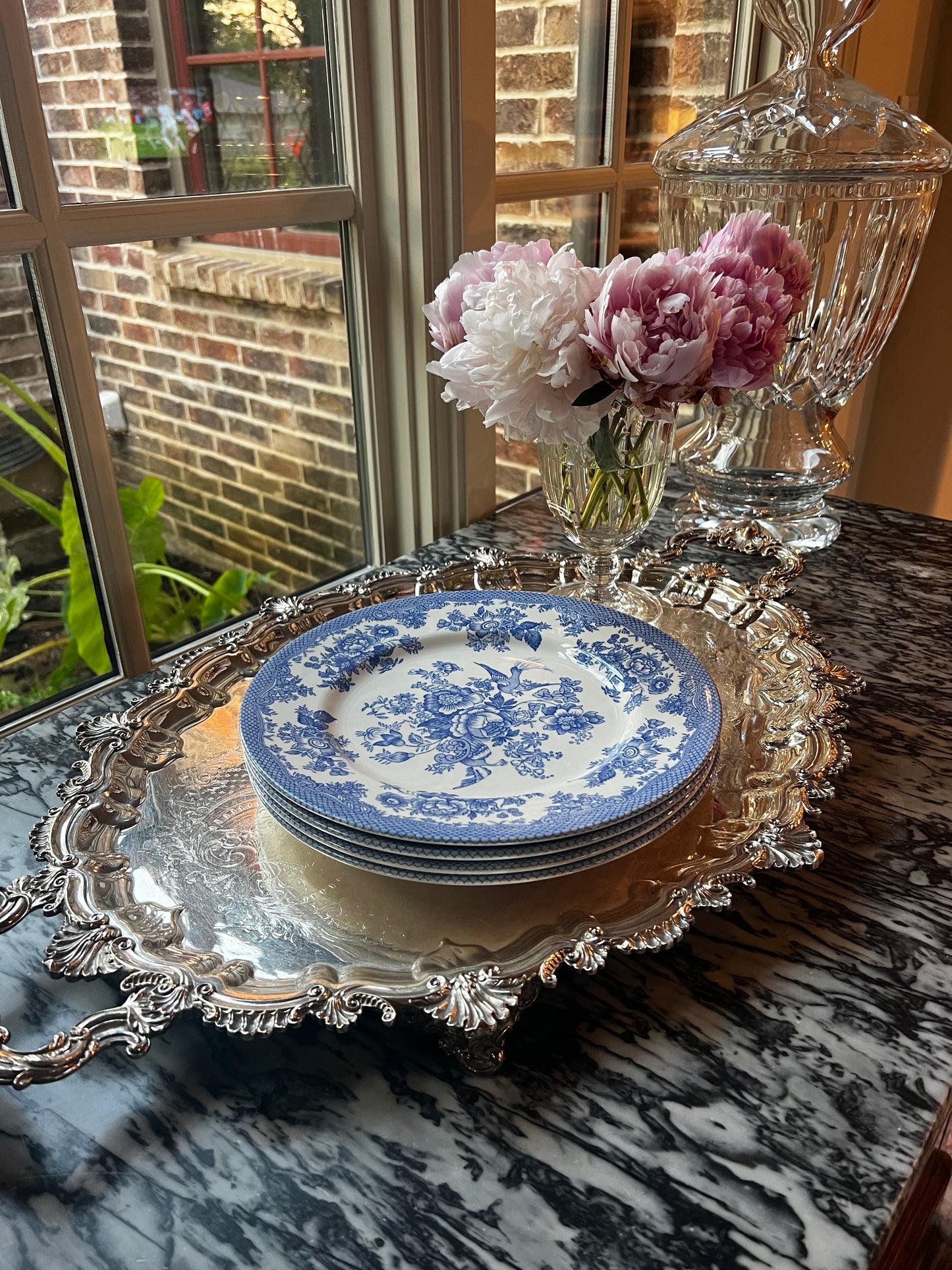 Royal Stafford Asiatic Pheasant Dark Blue Dinner Plates, Set of 5