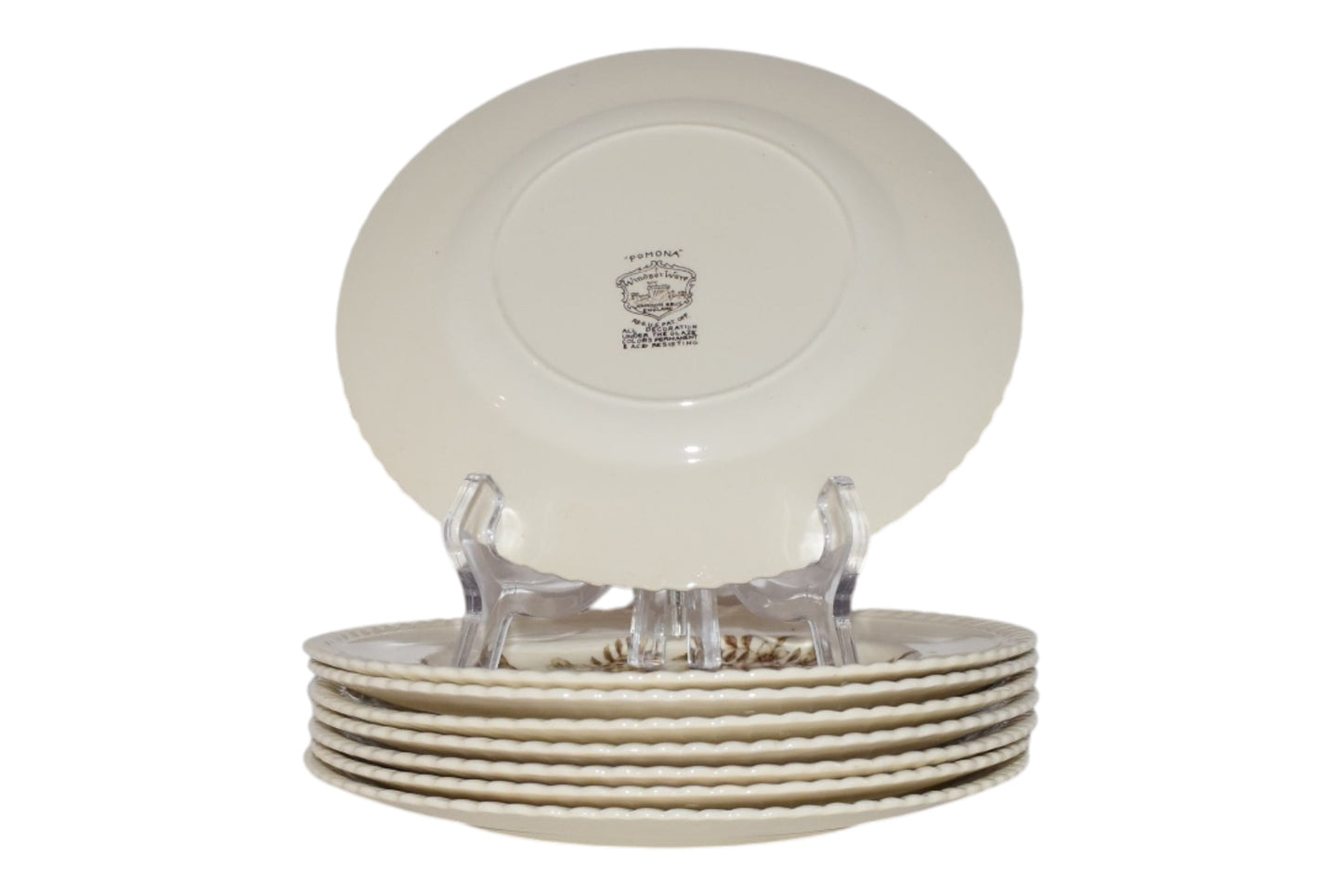 Pomona Salad plates by Johnson Brothers