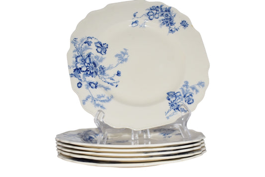 Myott & Son set of 10 plates (6 dinner 4 salad) Cosita pattern