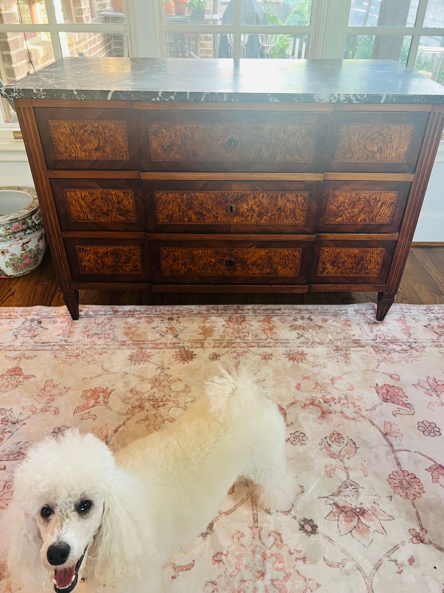 French Louis XVI Burled Walnut Commode | Original Marble Top | 18th–19th Century