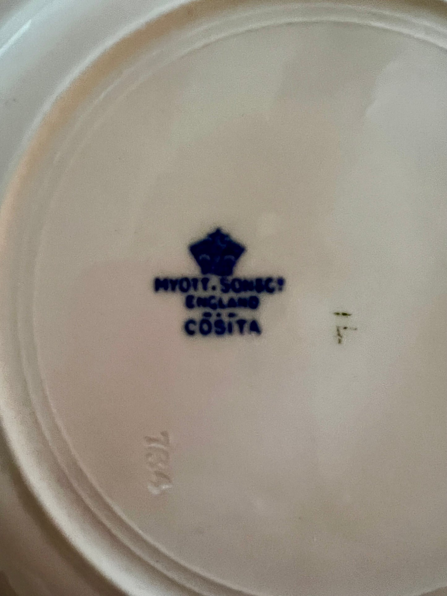 Myott & Son set of 10 plates (6 dinner 4 salad) Cosita pattern