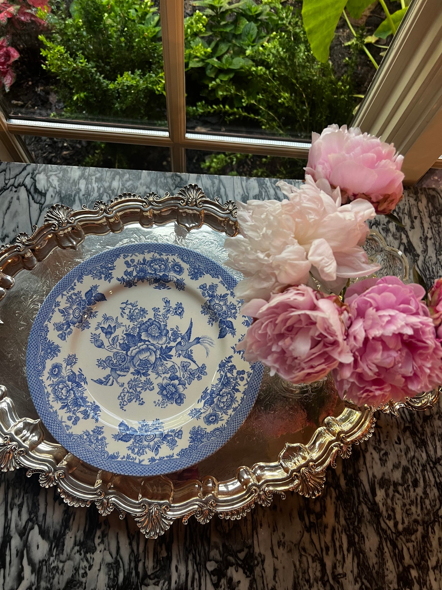 Royal Stafford Asiatic Pheasant Dark Blue Dinner Plates, Set of 5