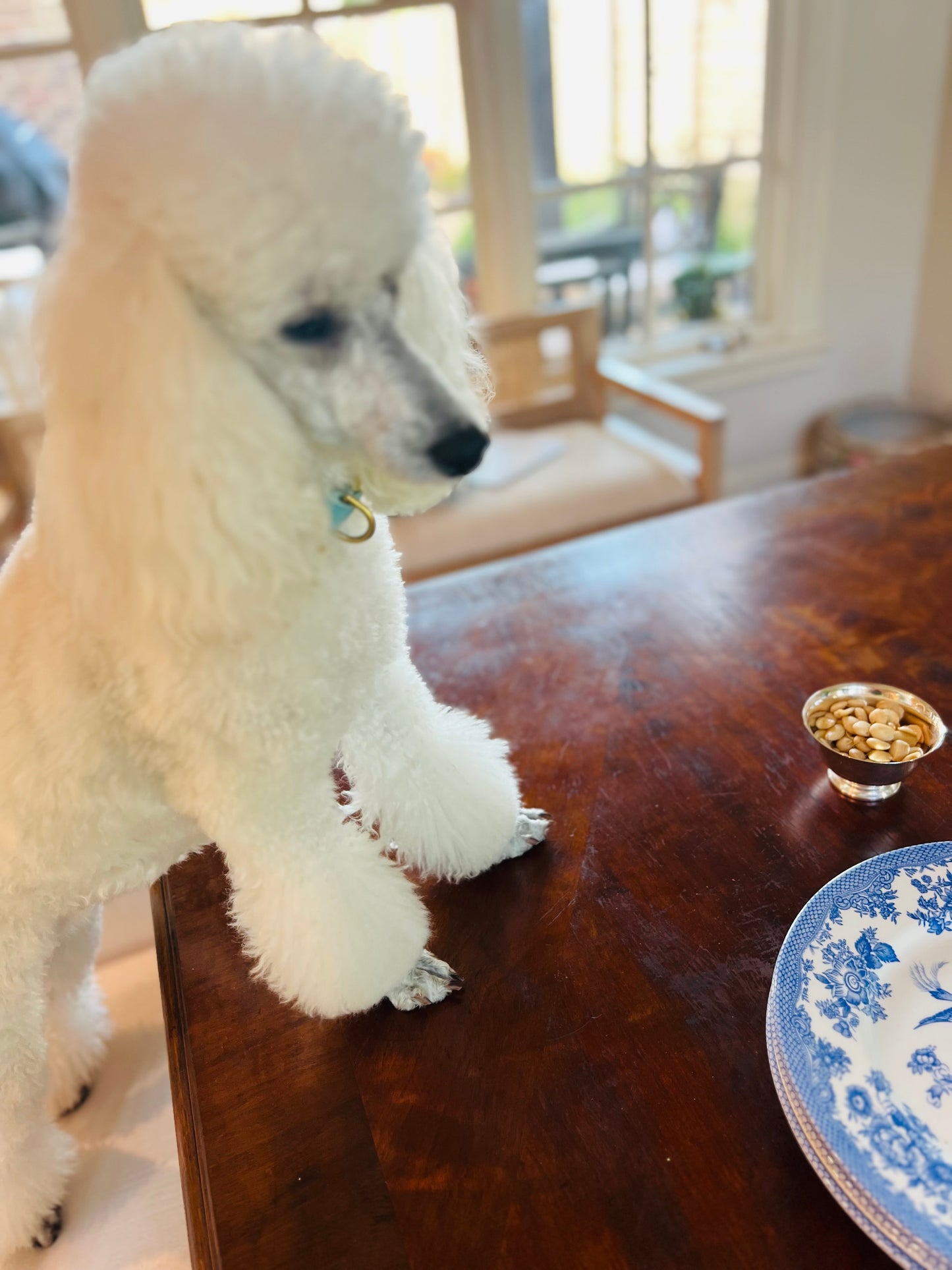 Royal Stafford Asiatic Phesants (Set of 4)