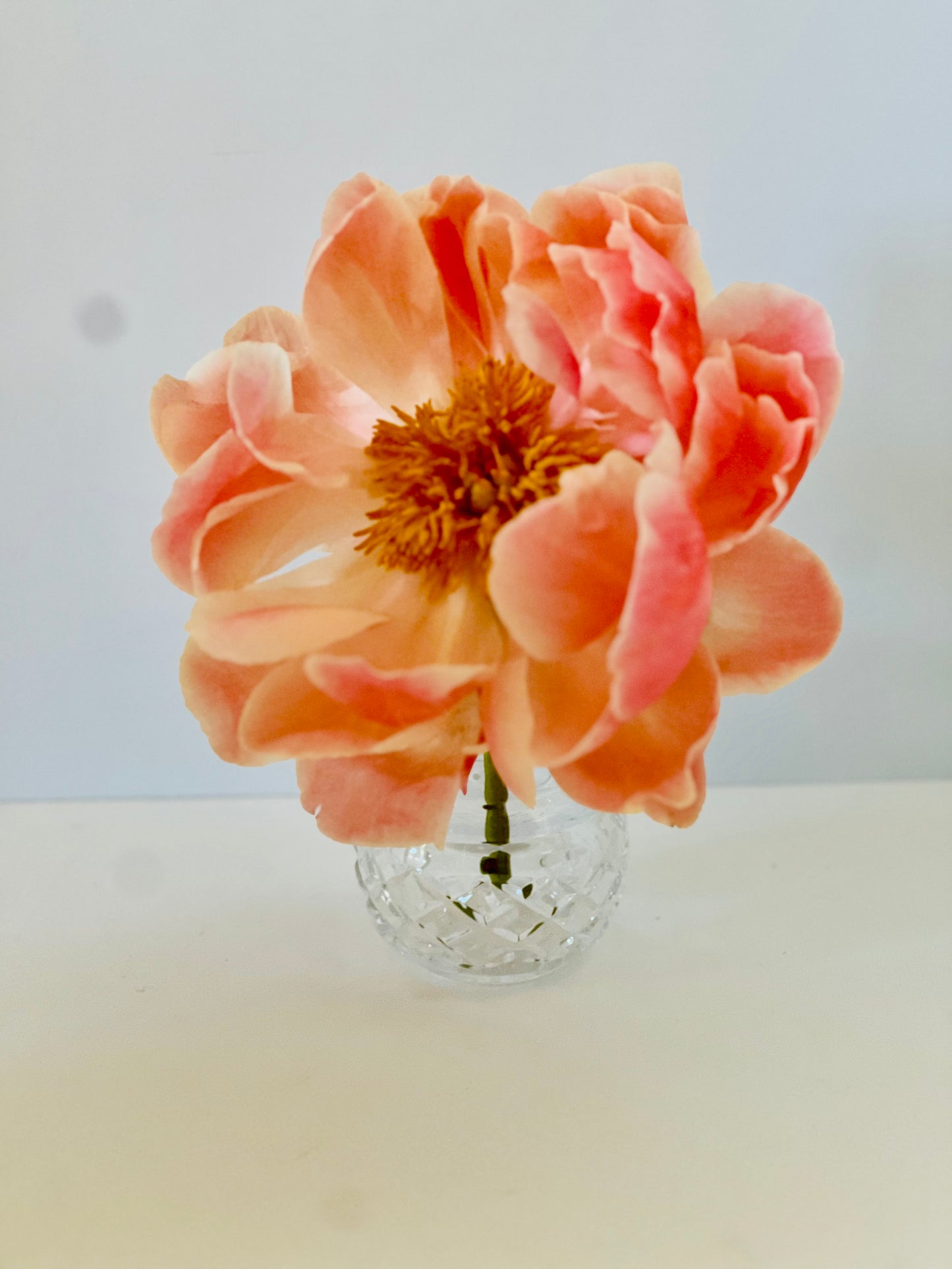 Waterford Crystal Violet Vase