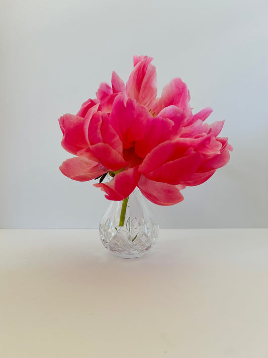 Waterford Posey Bud Vase